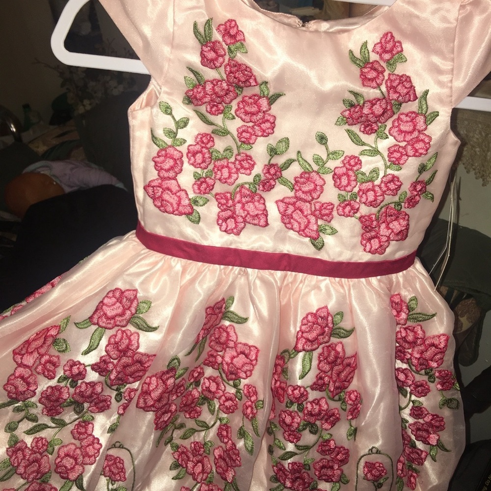 DISNEY Beauty & Beast BELLE Fancy Pink Embroidered Floral Party Dress